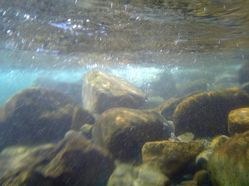 f0034007_2193426.jpg