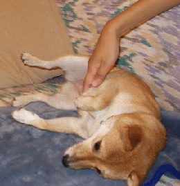 f0004309_221046.jpg