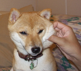 f0004309_22155446.jpg