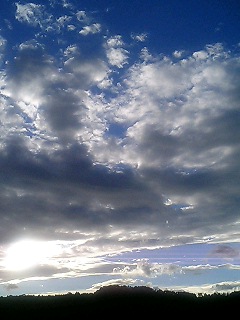 d0081210_12231366.jpg