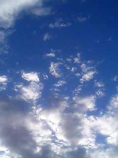 d0081210_1224538.jpg