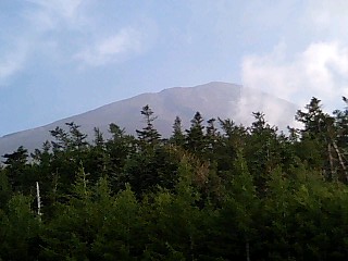c0005619_2205536.jpg