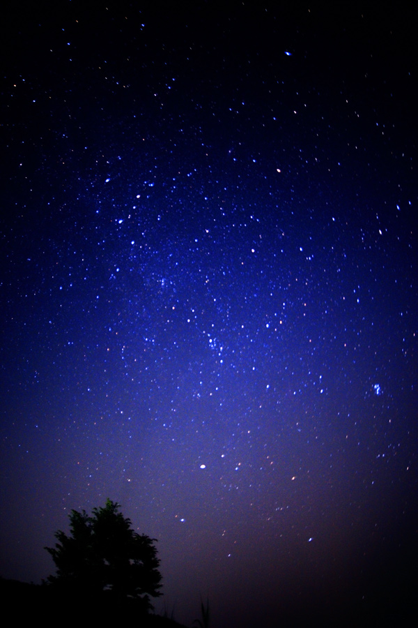 f0035323_1855323.jpg