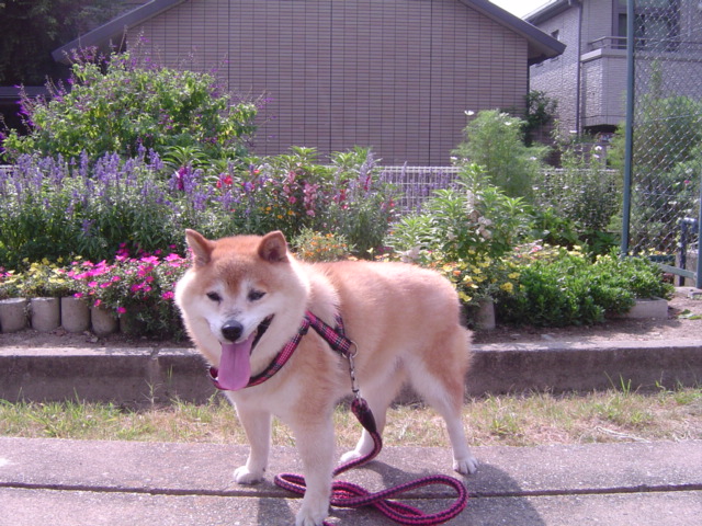 f0012924_24301.jpg
