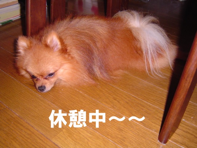 f0012924_294899.jpg
