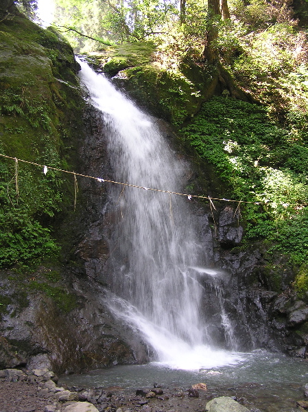 f0103126_21481522.jpg