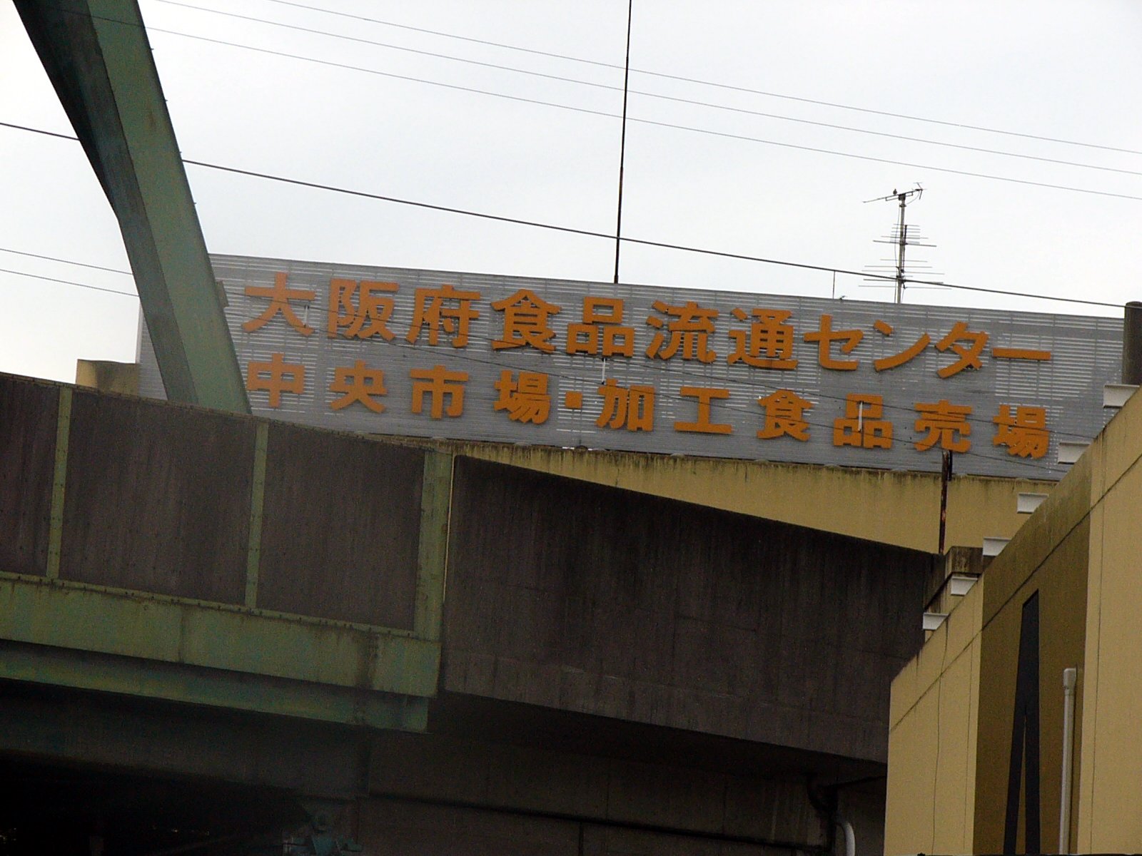a0083429_233759.jpg