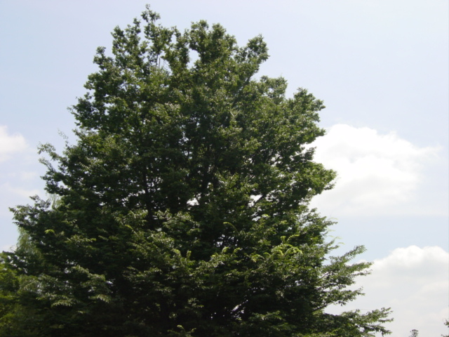 d0064329_222504.jpg