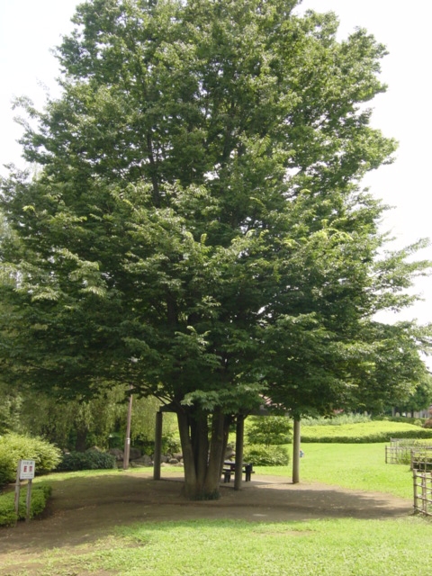 d0064329_22261559.jpg