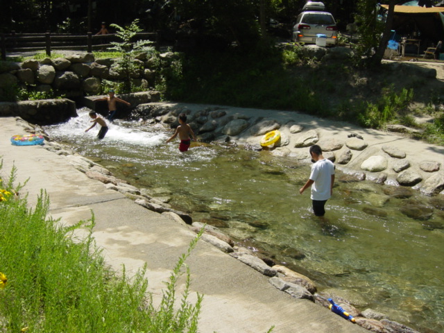 d0064329_2240384.jpg