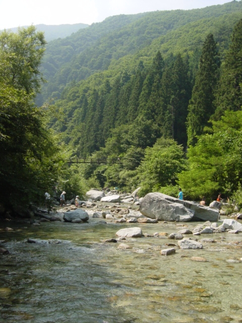 d0064329_22523563.jpg