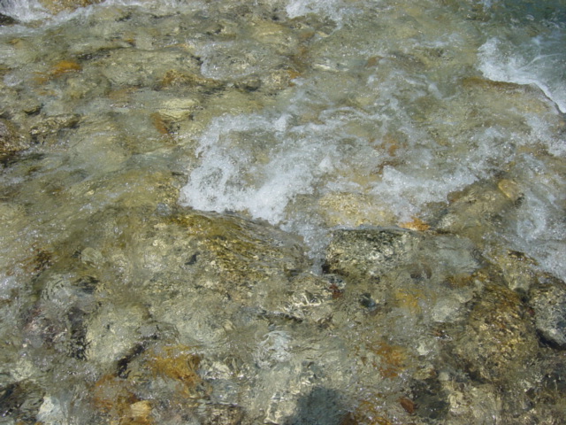 d0064329_2313484.jpg