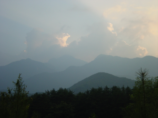 d0064329_239750.jpg
