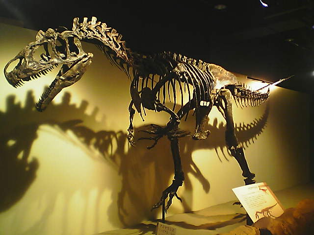 a0032232_2240167.jpg