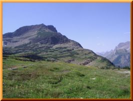 e0075832_165773.jpg