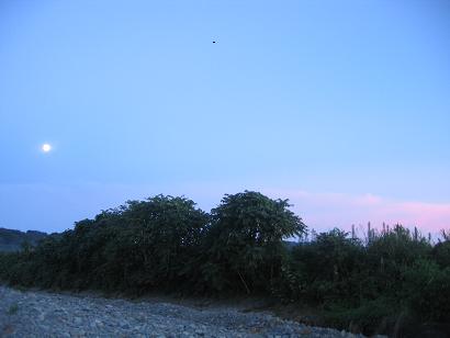 e0092446_154787.jpg