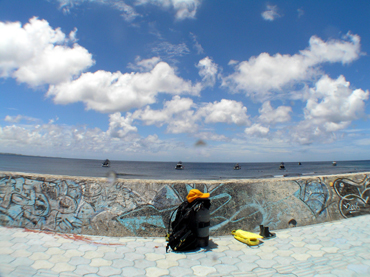 d0065247_19294254.jpg