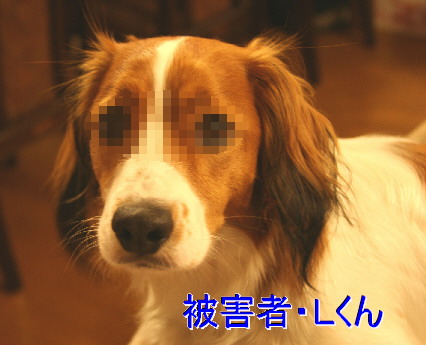 d0013149_21595729.jpg