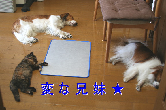 d0013149_22374717.jpg
