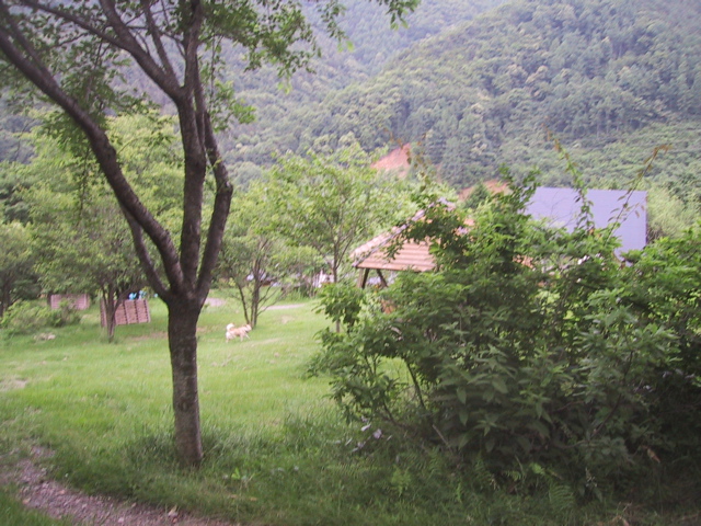 f0046250_145025.jpg