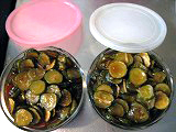 d0031853_2291982.jpg