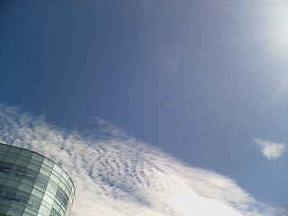 e0063653_1124059.jpg