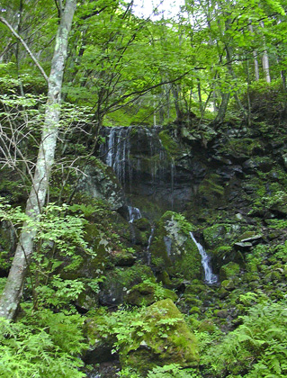a0001354_2095046.jpg