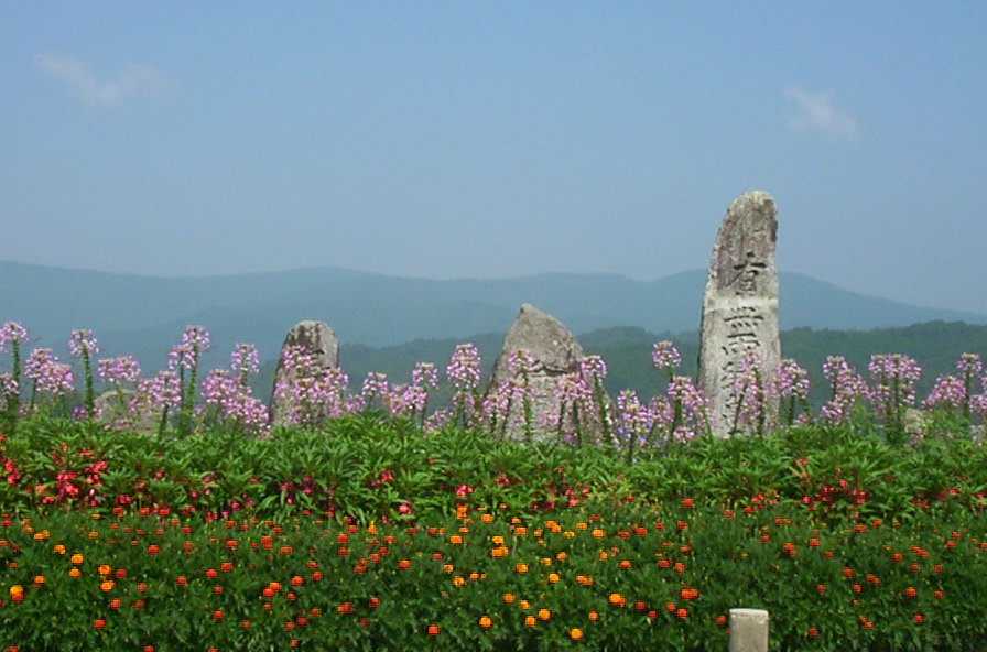 a0029157_12415435.jpg