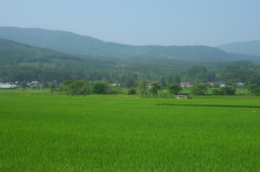 a0029157_12422090.jpg