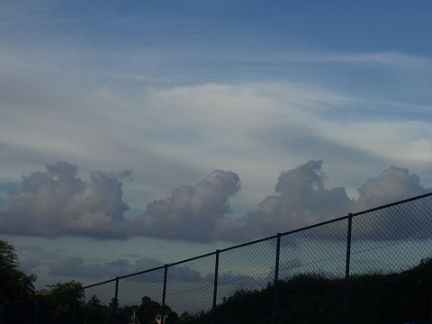 d0008157_0161298.jpg