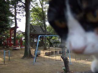 b0059860_1593657.jpg