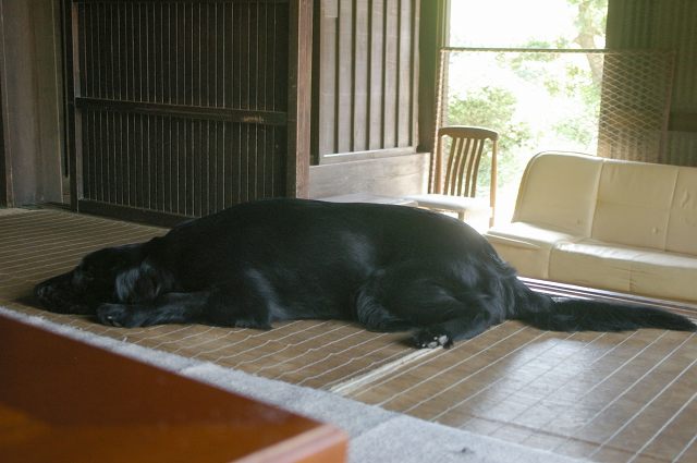 c0020265_1565382.jpg