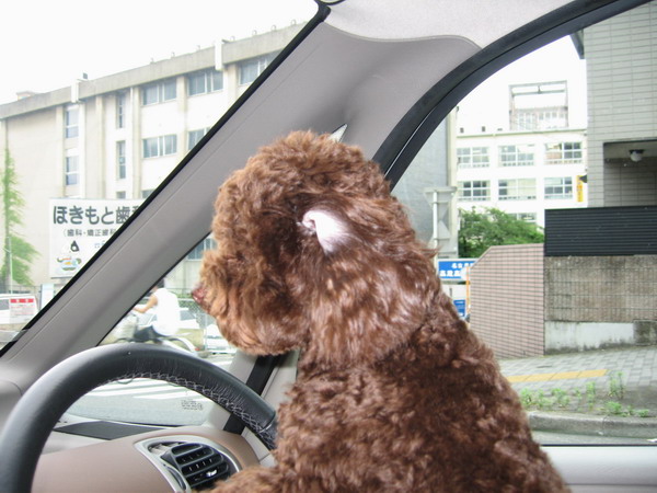 c0084268_13391139.jpg