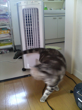 c0026870_1331911.jpg