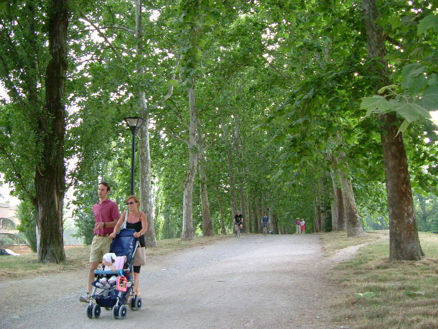 e0078071_20243414.jpg
