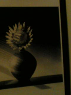 f0100480_11395138.jpg