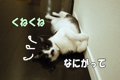b0041182_2135625.jpg