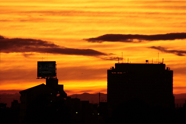 b0067789_2053345.jpg