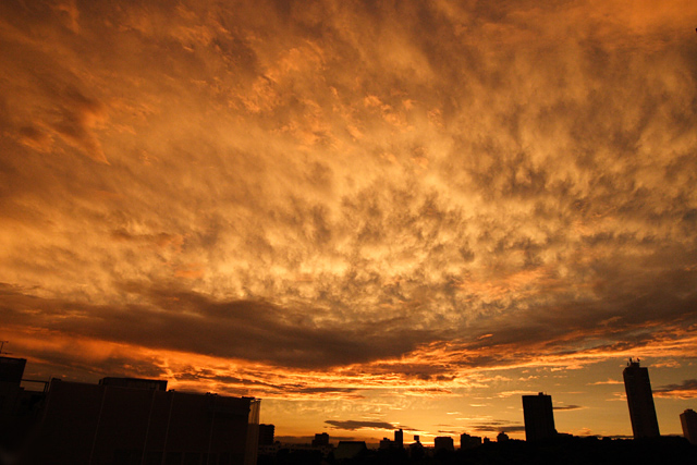 b0067789_2121877.jpg