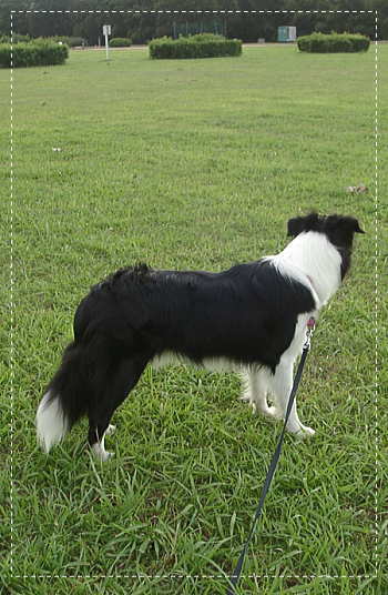 f0082396_21522619.jpg