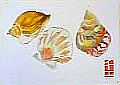 f0008597_2322559.jpg