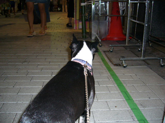 d0070702_23284297.jpg
