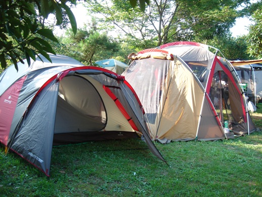 b0002605_892922.jpg