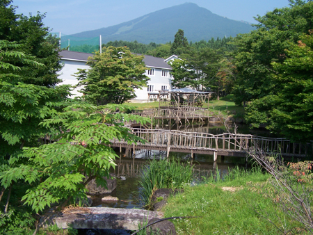 a0053511_22491714.jpg