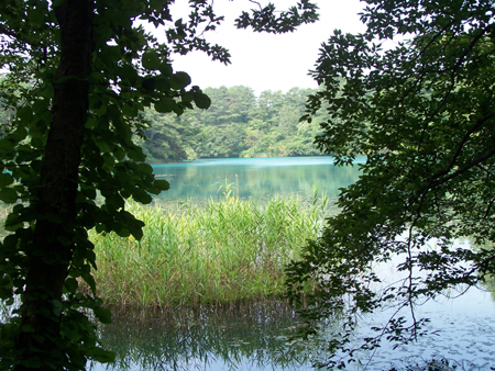 a0053511_22504492.jpg