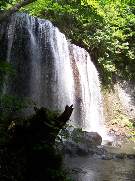 a0053511_2254582.jpg