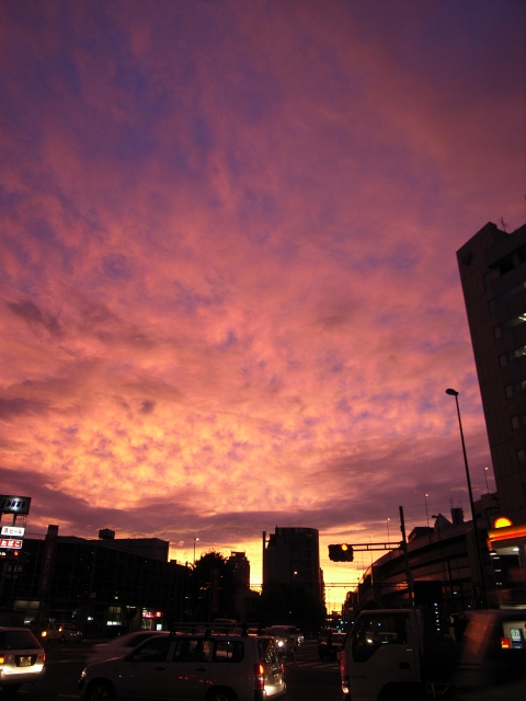 c0071611_09767.jpg