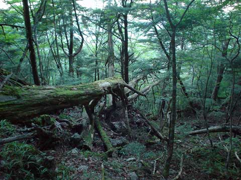 d0069011_10441578.jpg