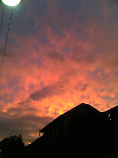 f0056516_130335.jpg