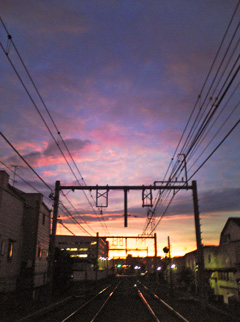 f0056516_131099.jpg